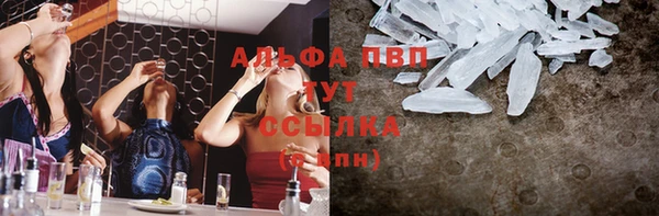 прущие крисы Аркадак