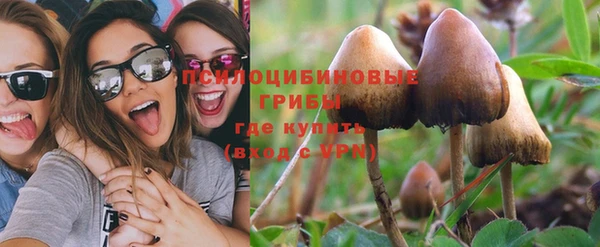 дживик Пересвет