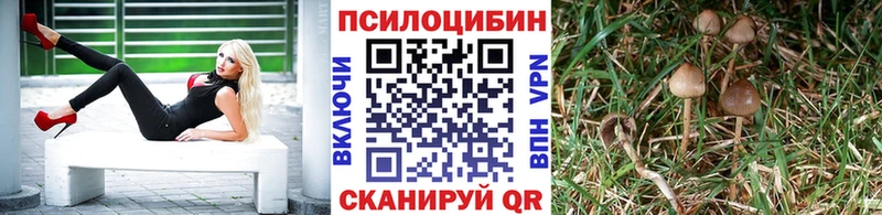 Купить где  Благодарный  Псилоцибиновые грибы мухоморы 